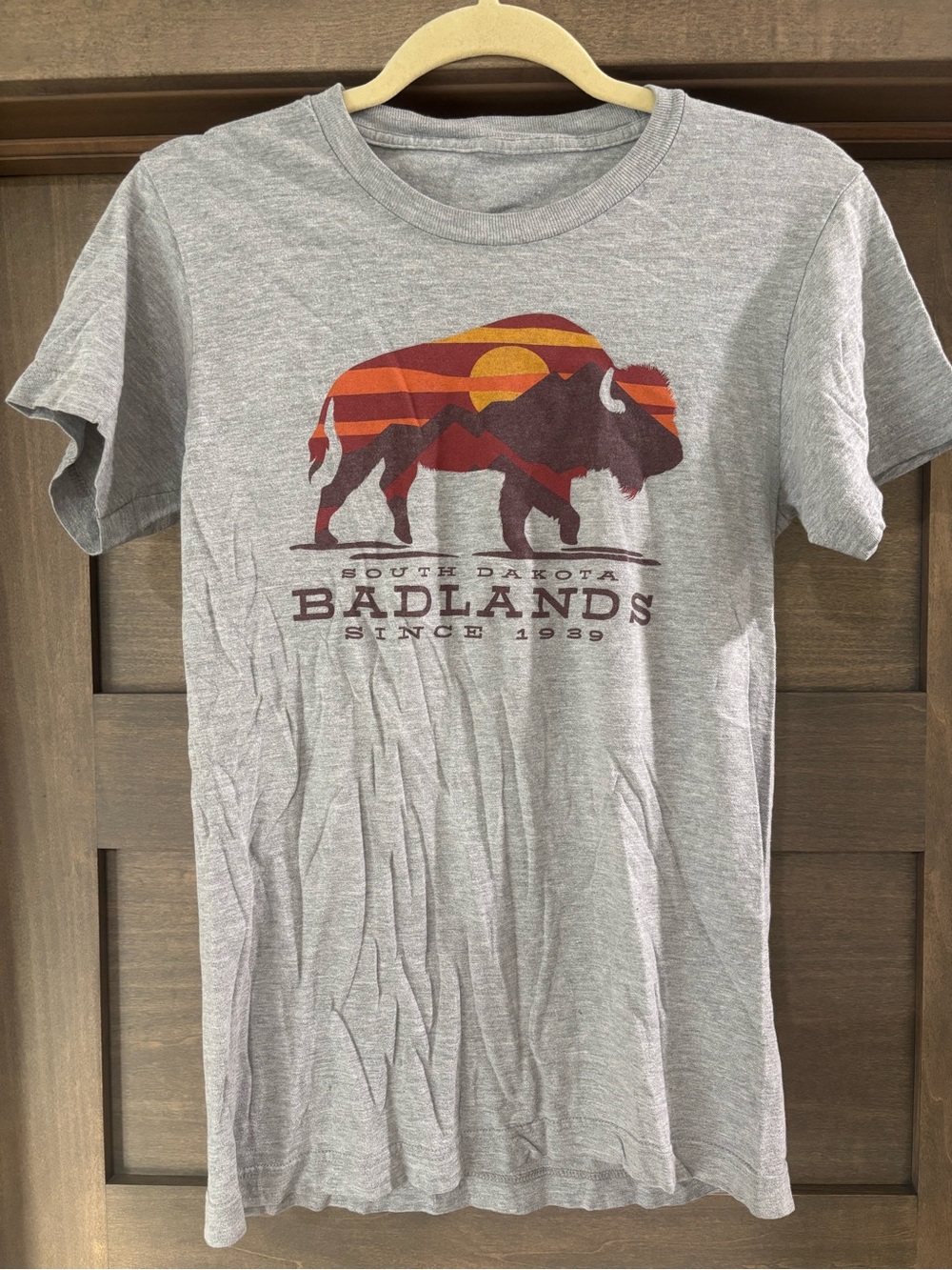 Badlands South Dakota Gray Graphic Tee with Sunset Bison